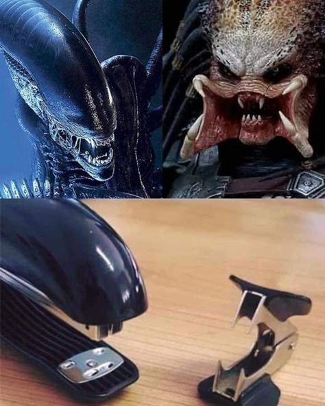 Haidar Ali, Predator Artwork, Aliens Movie, Alien Vs Predator, Alien Vs, Everything Funny, 웃긴 사진, صور مضحكة, Really Funny Pictures