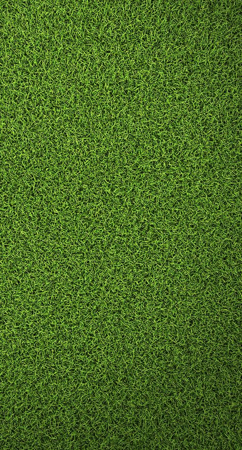 Cor do coraçao palmeirense Grass Wallpaper, Office Wallpaper, Original Iphone Wallpaper, Simple Texture, Texture Mapping, Photoshop Textures, Phone Wallpaper Design, Graphic Wallpaper, Phone Wallpaper Images