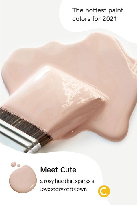 Pink Paint Color, Pink Apartment, Painting Hacks, Meet Cute, Pink Paint Colors, House Redo, Trending Paint Colors, Popular Paint Colors, Paint Color Inspiration