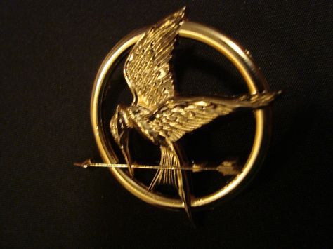 Katniss Everdeen Mockingjay, Hunger Games Mockingjay Pin, The Hunger Games Katniss, Diana Sanchez, Hunger Games Pin, Mockingjay Pin, Hunger Games Katniss, Katniss Everdeen, The Hunger Games