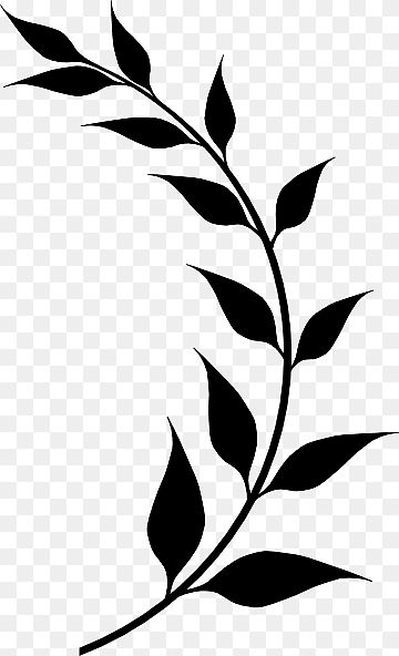 Leaf Sillouhette, Olive Branch Silhouette, Laurel Leaves Drawing, Black Leaf Png, Plant Silhouette Art, Leaf Branch Drawing, Olive Leaf Drawing, Bay Leaf Tattoo, Black Leaves Tattoo