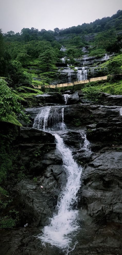 This picture was clicked just a week after the begining of monsoon in the place called Neral of state Maharashtra, India. Merely a week and everything you saw was soothing.   #natureatitsbest Monsoon Wallpaper Rain, Maharashtra Scenery, Lonavala Snap Rain, Maharashtra Aesthetic, Monsoon Snap, Monsoon Wallpaper, Soothing Wallpapers, Monsoon Aesthetic, Monsoon Photography