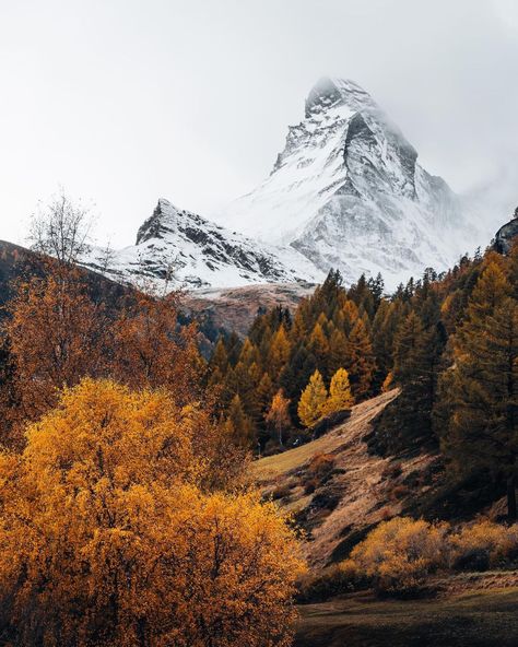 Autumn in Switzerland 😍 🍁 . . . . . #switzerland #autumn #herbstfatben #beautifuldestinations #visitswitzerland | Instagram Autumn In Switzerland, Switzerland Autumn, Switzerland Landscape, Switzerland Mountains, Visit Switzerland, Instagram Autumn, Beautiful Destinations, Switzerland, Travel