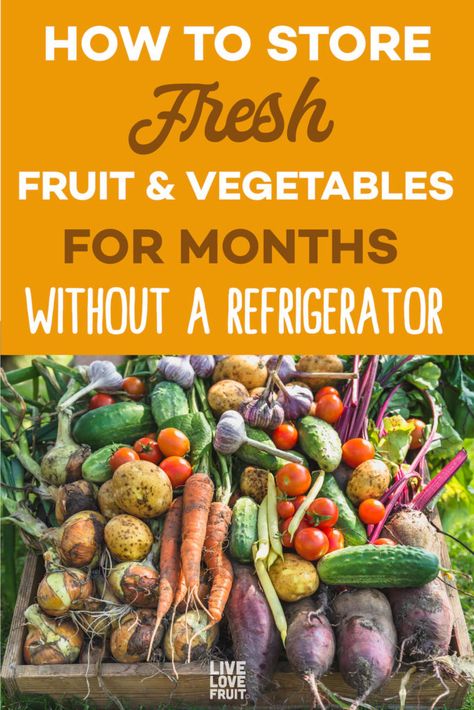 fresh harvest from garden with text - how to store fresh fruit and vegetables for months without a refrigerator Harvest Storage, Fresh Fruit And Vegetables, Storing Vegetables, Storing Fruit, Canning Food Preservation, Canned Food Storage, Fruit And Vegetable Storage, Vegetable Storage, Garden Harvest