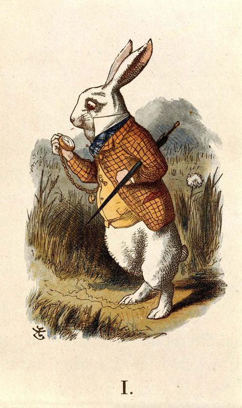 Alice Drawing, Crafts Illustration, Alice Rabbit, Hare Illustration, White Rabbit Alice In Wonderland, Easter Bunny Pictures, Alice In Wonderland Illustrations, Rabbit Pictures, Rabbit Drawing