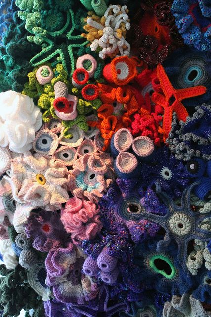 crocheted coral, this is awesome and looks hard Odd Crochet, Crochet Coral Reef, Hyperbolic Crochet, Crochet Coral, Crochet Sea Creatures, Crochet Fish, Creative Crochet, Form Crochet, Textile Fiber Art