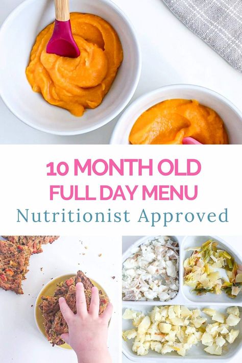 Recipes For 10 Month Old, 10 Month Old Food, 10 Months Baby Food, 10 Month Old Baby Food, Meal Plan For Toddlers, Baby Meal Plan, Weaning Baby, Baby Nutrition, Baby Lunch