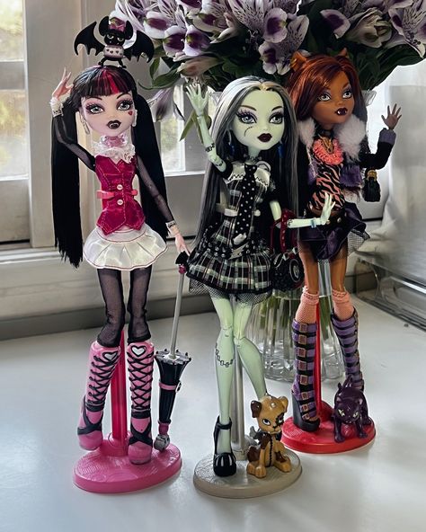 the big 3 🖤⛓️🪦🕸️ as maiorais de monster high: draculaura, frankie stein e clawdeen wolf 🤍 - - - #monsterhigh #monsterhighdolls #monsterhighdoll #dolls #dollstagram #dollcollector #monsterhighcollection #dollcollection #monsterhighcollector #monsterhighg3 #mhdoll #instadoll @monsterhigh Monster High Redesign Doll, Monster High Kieran Valentine, Monster High Doll Collection, Monster High Restyle, All Monster High Dolls, Scene Core Wallpaper, Crochet Monster High, Frankie Monster High, Monster High Room