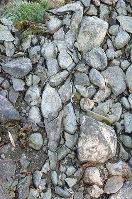 Hidden Woman in the Rocks Optical Illusion - http://www.moillusions.com/hidden-woman-rocks-optical-illusion/ Illusion Kunst, Optical Illusions Pictures, Illusion Pictures, Art Pierre, 웃긴 사진, Illusion Art, Wow Art, Foto Art, Land Art