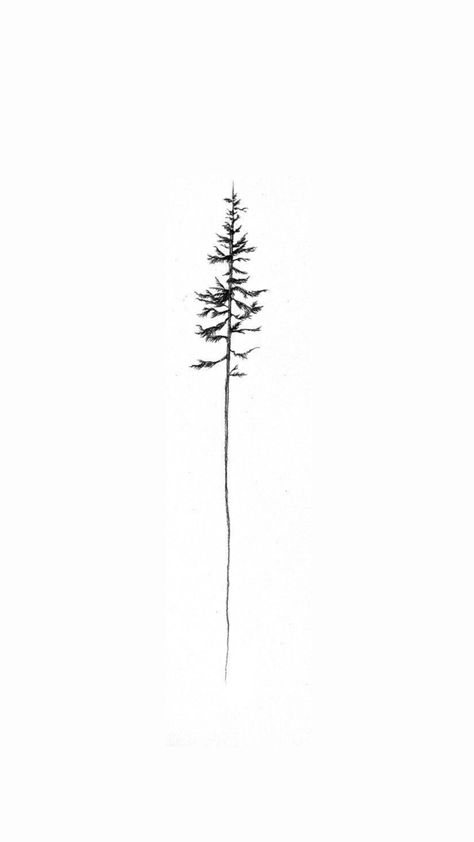 Minimalist Evergreen Tattoo, Vertical Tricep Tattoo, Minimalist Redwood Tree Tattoo, Nature Tatoos Woman, Botanical Drawing Tattoo, Tree Tattoo On Spine, Back Line Tattoo Women, Sequoia Tree Tattoo Simple, Pine Tree Spine Tattoo