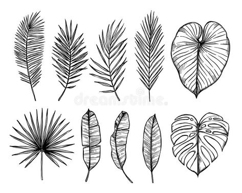 Palm Leaf Tattoo, Templates Drawing, Tropical Tattoo, Biblical Tattoos, Palm Tattoos, Motif Tropical, Leaves Illustration, Botanical Tattoo, Hand Drawn Vector Illustrations