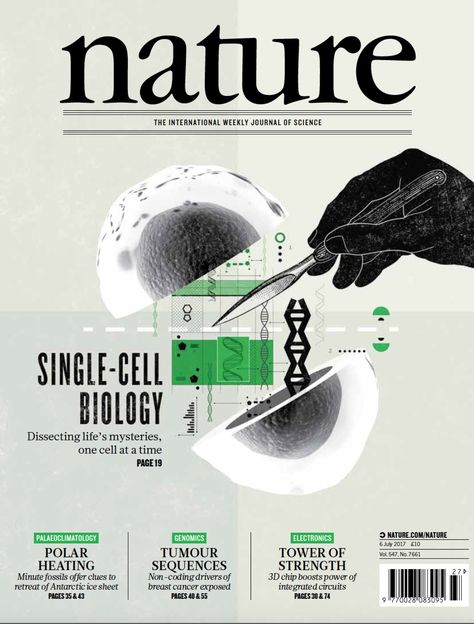 Nature Magazine Cover, Magazine Cover Illustration, Scientific Magazine, Scientific Poster Design, Nature Magazine, Biology Poster, Magazine Cover Ideas, Scientific Poster, Graphic Design Style