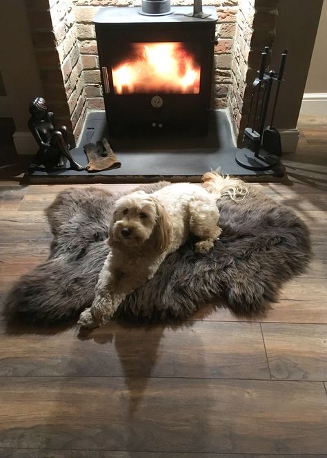 Wood Burner, Sheepskin Rug, Stuff To Do, Fur Babies, Diy Decor, Fan, Wood, Dogs, Animals