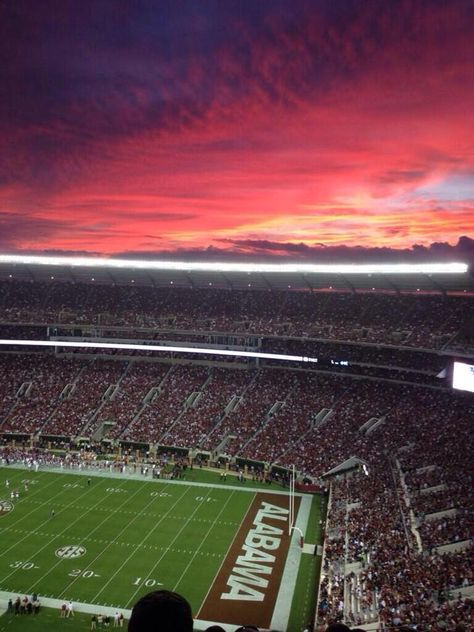 Amazing sunset in T-Town at Bryant Denny Stadium (#5 pic) Bryant Denny Stadium, Alabama Wallpaper, Tuscaloosa Alabama, Bama Football, Alabama Crimson Tide Football, Crimson Tide Football, Alabama Roll Tide, The University Of Alabama, Sweet Home Alabama