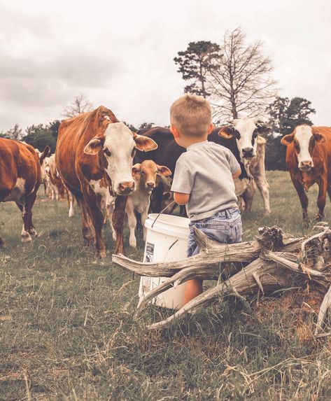 by: Kelley Mae Photography  Find me on Facebook & Instagram  #ranchlife #cows #littleboysandcows Country Ranch, Farm Lifestyle, Farm Kids, Future Farms, Western Life, Country Kids, Country Lifestyle, Ranch Life, Baby Cows