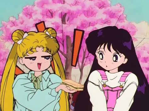 Usagi  Rei / Serena  Raye Sailor Moon Funny, Sailor Moon Fashion, Sailor Moon Screencaps, Arte Sailor Moon, No Context, Minako Aino, Anime Stars, Sailor Moon Usagi, Sailor Moon Aesthetic