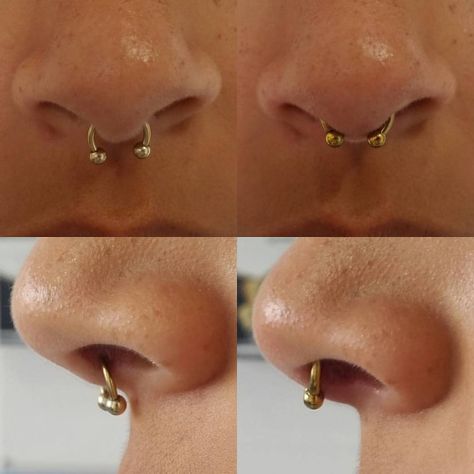 More septum fixing!! The lovely @capital_of_france came in this afternoon with a septum piercing she had done elsewhere (shown on the left) annoyed that septum clickers wouldn’t look good in it… So I took out that 16g 5/16" externally threaded, colour coated, low grade steel circular barbell (which was sold to her as “titanium”) and re pierced her septum up in the sweet spot where it should be, with an @anatometalinc 14g 3/8" hand polished, implant grade ti... Low Septum Piercing, Septum Piercing Close Up, Septum Sizes Chart, Septum Piercing On Different Noses, Septum Side Profile, Septum Placement, 16g Septum Piercing, Septum Piercing Pain Chart, Septum Piercing Sizes