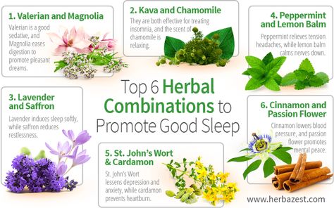 Top 6 Herbal Combinations to Promote Good Sleep | HerbaZest What Causes Shingles, Herbs For Sleep, Insomnia Relief, Medicinal Tea, Sleep Tea, How To Calm Nerves, Sleep Remedies, Natural Sleep Remedies, Herbs For Health