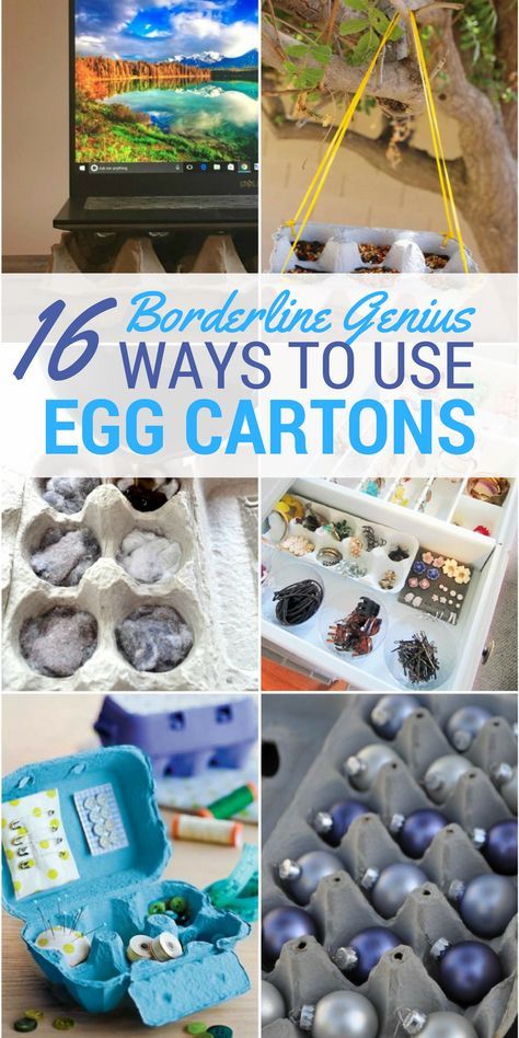 Egg Carton Uses Ideas, Repurposed Egg Cartons, Egg Carton Recycle Ideas, Egg Carton Upcycle, Uses For Styrofoam Egg Cartons, Recycling Egg Cartons, Upcycle Egg Cartons, Egg Carton Storage Ideas, What To Do With Egg Cartons