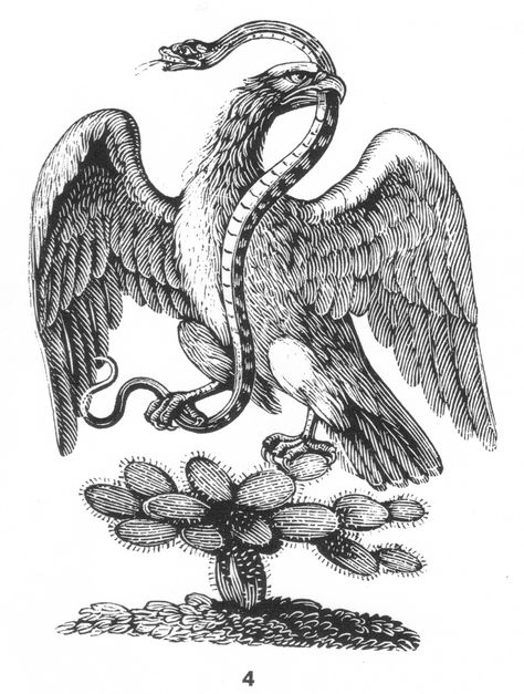 Eagle, snake, cactus Mexican Flag Tattoos, Mexican Heritage Tattoos, Mexican Flag Eagle, Free Spirit Art, Mexico Tattoo, Bald Eagle Art, Mexican Eagle, Mexican Tattoo, Mexican Art Tattoos