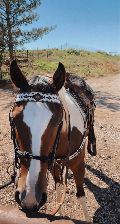 paint horse with beautiful western saddle & tack Aztec Horse Tack, Equine Barns, Horses Tack, Saddle Western, Horse Barn Ideas Stables, Animals Horse, Horse Barn Designs, Western Horse Saddles, Western Stuff