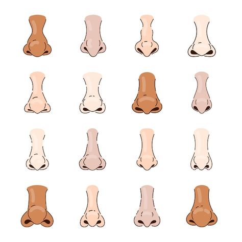 Different human noses cartoon illustrati... | Premium Vector #Freepik #vector #brain-anatomy #brain-illustration #cartoon-nose #lungs Nose Illustration, Cartoon Nose, Nose Cartoon, Cartoon Noses, Brain Illustration, Brain Anatomy, Cartoon Man, Illustration Cartoon, Nose Job