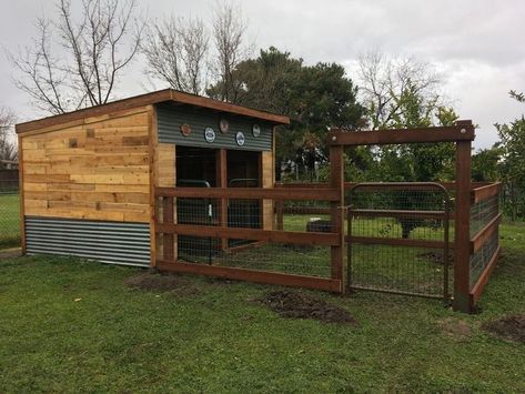 Metal Goat Shed, Sheep Shelter Diy, Pig Pen Ideas Shelters, Goat Shelter Diy, Alpaca Shelter, Horse Shelter Ideas Cheap, Diy Goat Shelter, Goat Fencing, Sheep Shelter