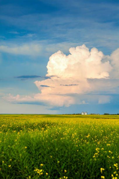 Royalty Free Landscape Photos, Greek Landscape Photography, Prairie Landscape Paintings, Landscape Photography Nature Forests, Landscape Photo Reference, Landscape Photos Nature Scenery, Simple Landscape Reference Photo, Shelley Core, Landscape Pictures Aesthetic