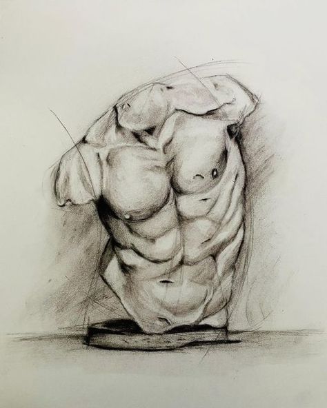 Sketches Of Men Bodies, Male Torso Sketch, Torso Sketch, Sculpture Drawing Sketch, Sculpture Sketch, Male Torso Drawing, Male Sculpture, Male Drawing Reference, Male Body Sketch