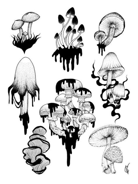 Flash Illustration, Sketching References, Mushroom Tattoos, Mushroom Drawing, Drawing Tattoo, Tattoo Art Drawings, Tattoo Flash Art, Arte Sketchbook, Ink Drawings