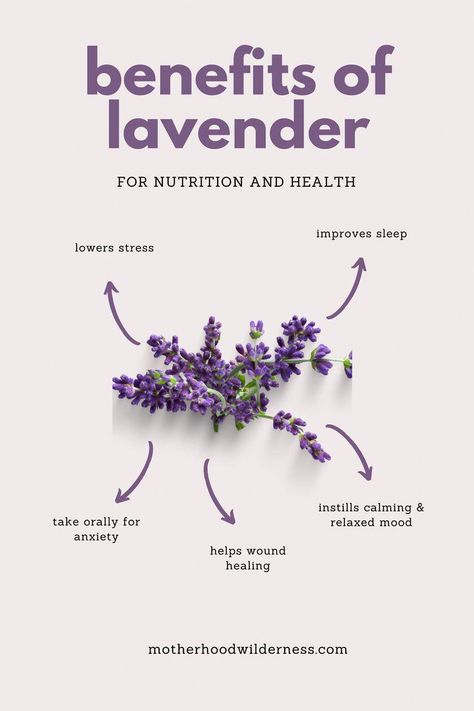 Read here to learn about medicinal and daily uses of the essential oil, lavender. Studies linked for evidenced-based information and support! Lavender Oil Benefits, Benefits Of Lavender, Lavender Benefits, Healing Essential Oils, Sleeping Too Much, Mental Health Disorders, Wound Healing, Healthy Beauty, Improve Sleep