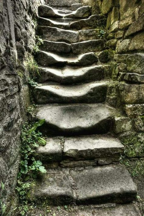 Old worn out stairs Foto Scale, Stone Steps, Stone Stairs, Take The Stairs, Stair Steps, Garden Pathway, Stairway To Heaven, Old Building, Abandoned Places