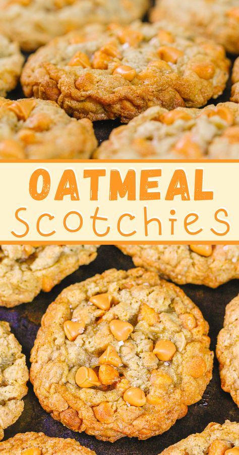 Oatmeal Butterscotch, Oatmeal Scotchies, Oatmeal Butterscotch Cookies, Butterscotch Cookies, Dessert Recipies, Blueberry Crumble, Dinner Dessert, Yummy Dessert, Cookie Flavors