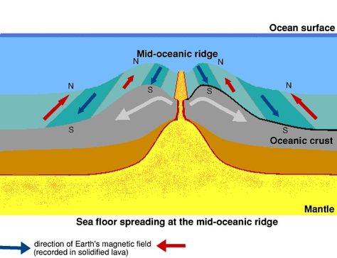 25+ best ideas about Seafloor spreading on Pinterest | Plate ... Mid Ocean Ridge, Plate Tectonic, Seafloor Spreading, Teaching Humor, Continental Drift, Earth's Magnetic Field, Sea Floor, 8th Grade Science, 6th Grade Science