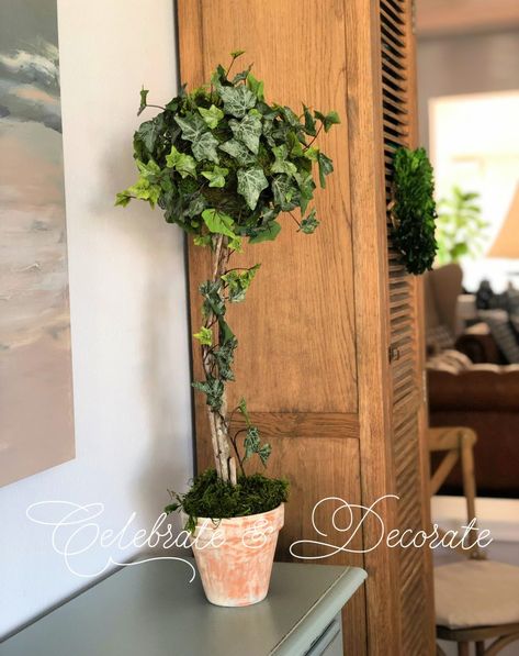 Make an Ivy Topiary - Celebrate & Decorate Ivy Topiary Diy, Ivy Topiary, Topiary Diy, Christmas Topiary, Terra Cotta Pots, Garden Obelisk, Terra Cotta Pot, Garden Shelves, Boxwood Topiary