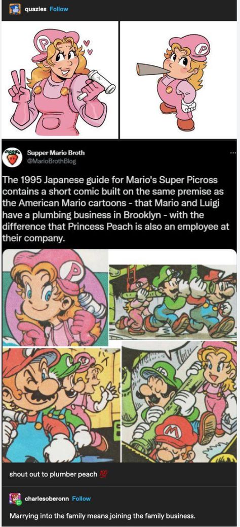 Looker Pokemon Fanart, Mario Comics Funny, Front Facing Yoshi, Super Mario Art Fanart, Super Mario Movie Fanart, Mario Movie Fanart, Peach X Bowser, Super Mario Fanart, Smash Bros Fanart