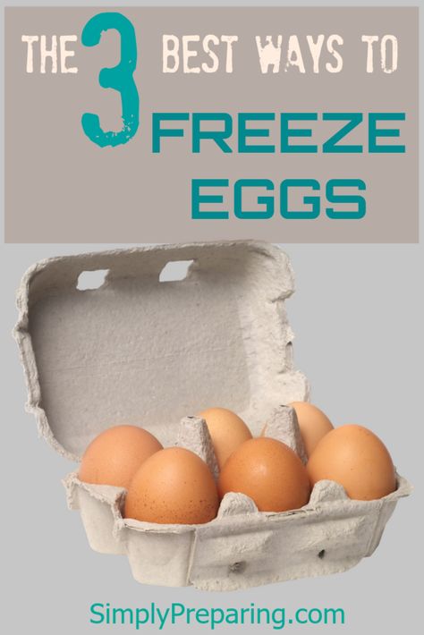 How To Freeze Eggs, Freezer Eggs, Frozen Eggs, Freeze Eggs, Preserving Eggs, Cooking Beets, Raw Eggs, Freezing Eggs, Cooking Pork Chops