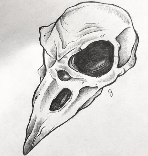 Bird Skull Drawing, Animal Skull Drawing, Tattoo Machine Art, Scary Drawings, Horror Drawing, Skeleton Drawings, Flash Tattoo Designs, Skulls Drawing, Raven Art