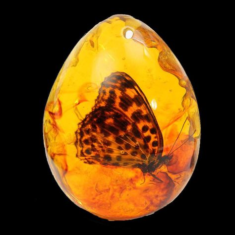 Diy Jewelry Pendants, Butterfly Insect, Rocks And Fossils, Amber Resin, Amber Fossils, Geology Rocks, Mineral Stone, Amber Stone, Minerals And Gemstones