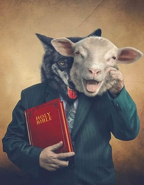 Sheep In Wolves Clothing, Sheep Clothing, Bible Images, Bible Pictures, Ayat Alkitab, Christian Pictures, Meaningful Art, Biblical Art, Jesus Art