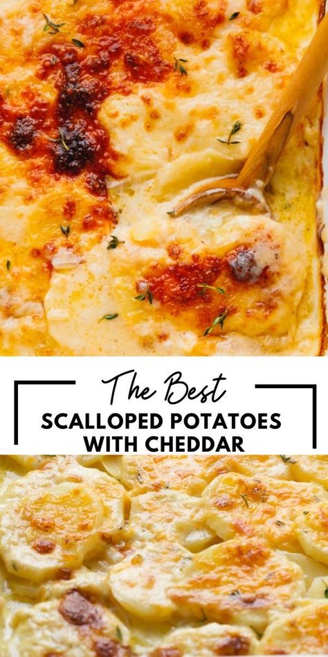 Easy to make, these scalloped potatoes with cheddar are creamy, cheesy, and full of wonderful flavors. Very tender and loaded with Cheddar Cheese. Cheddar Scalloped Potatoes, Easy Cheesy Scalloped Potatoes, Cheese Scalloped Potatoes, Best Scalloped Potatoes, Creamy Scalloped Potatoes, Scalloped Potatoes Easy, Cheesy Scalloped Potatoes, Potatoes Easy, Scalloped Potatoes Cheesy