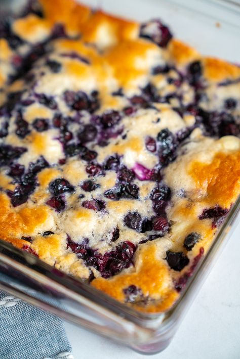 Cream Cheese Blueberry Cobbler Frozen Blueberry Dessert Recipes, Blueberry Cream Cheese Recipes, Quick Blueberry Desserts, Easy Blueberry Desserts Simple, Crowd Pleasing Recipes Dinners, Blueberry Cream Cheese Cobbler, Blueberry Cream Cheese Dessert, Easy Blueberry Dessert, Blueberry Cream Cheese Bread