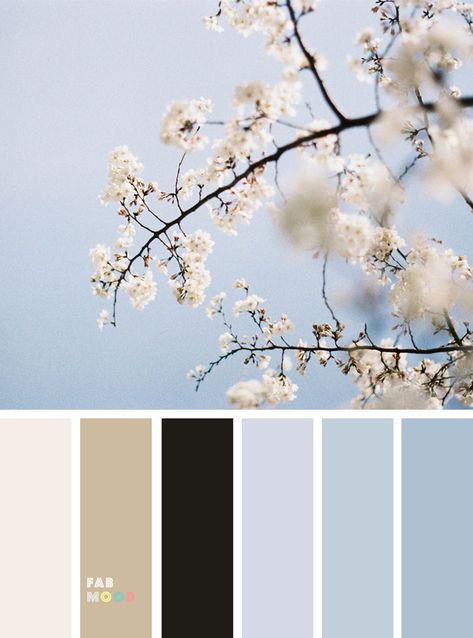 Pretty Spring Color Schemes { Black + Light Blue } Beautiful Colour Palettes, Blue Black Tan Color Palette, Black Colour Scheme, Light Blue Color Palette Colour Schemes, Light Blue Color Scheme, Colour Palette Design, Light Blue Colour Palette, Color Swatches Colour Palettes, Spring Colour Palette