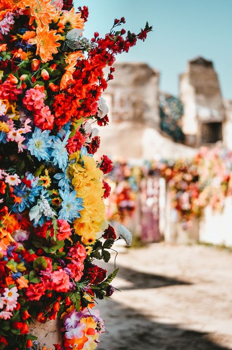 multicolored flower close-up photography photo – Free Plant Image on Unsplash Cool Wallpapers For Computer, Feminine Wallpaper, Flower Close Up, Hd Nature Wallpapers, One Flower, Shadow Photos, New Background Images, Close Up Photography, Flower Photography