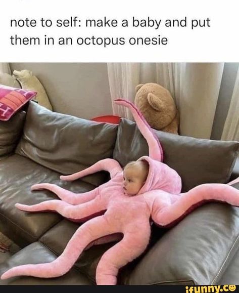 Octopus Costume, Baby Octopus, Octopus Plush, Funny Postcards, Funny Baby Memes, Cute Octopus, Funny Text Posts, Baby Memes, Baby Costumes