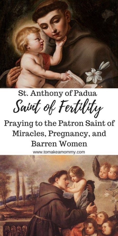 Praying with Saint Anthony of Padua, Patron Saint of Miracles, Lost Things, Barren Women, Pregnancy, Infertility, Fertility, and Trying to Conceive #fertility #infertility #catholicsaint #prayer #ttc Fertility Prayer, Barren Woman, Pregnancy Prayer, St Anthony Of Padua, Pregnancy Affirmations, Anthony Of Padua, Lost Things, Saint Anthony Of Padua, Angel Prayers