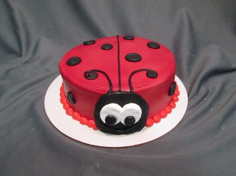 Ladybird Aesthetic, 2 Tiered Cake, Grass Cake, Ladybird Cake, Ladybug Cakes, Bug Cake, Ladybug Cake, Ladybug Birthday, Tiered Cake