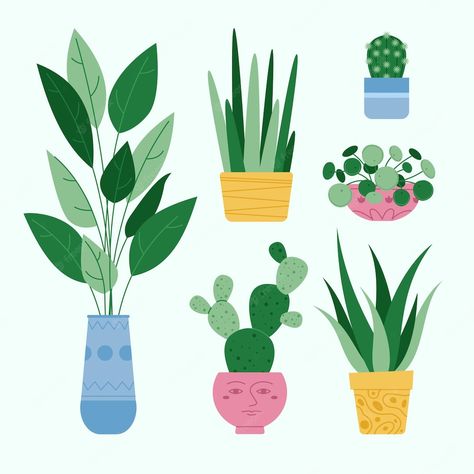 Houseplant Collection, Cute Flower Drawing, Succulents Illustration, Teaching Graphic Design, Plant Doodle, Pokemon Pins, Plant Vector, Watercolor Plants, Plant Vase