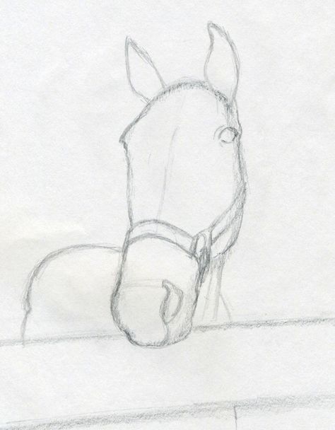 Draw Horse Head, Easy Horse Drawing, Draw Horse, Horse Head Drawing, Horse Art Drawing, Cai Sălbatici, Rasy Koni, Horse Sketch, Horse Drawing