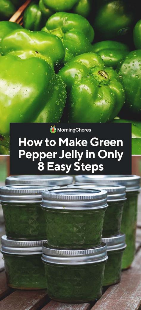 Green Pepper Jelly Recipe Canning, Canning Green Peppers, Green Pepper Jelly Recipe, Jalapeños Recipes, Freezing Green Peppers, Green Pepper Steak, Green Pepper Casserole, Green Pepper Jelly, Yummy Easy Snacks